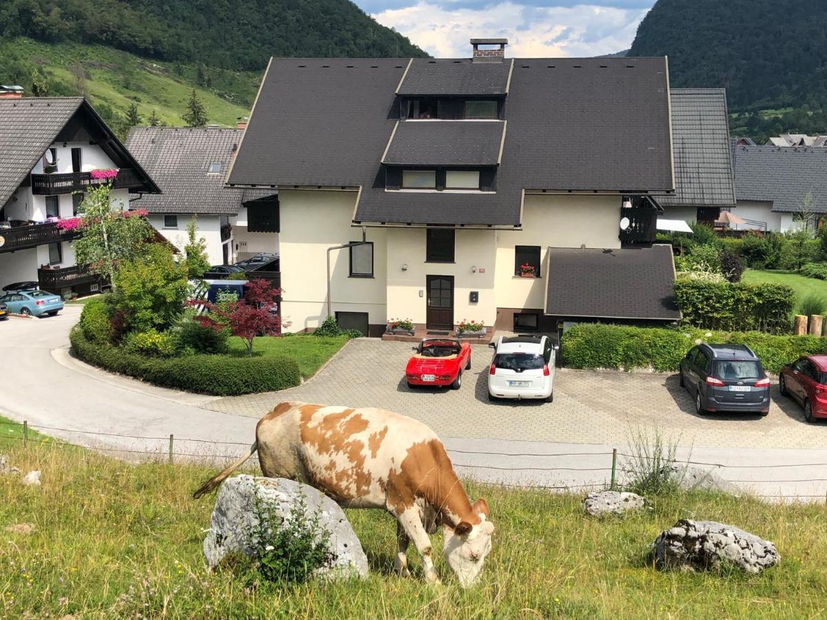 Apartment In The Heart Of Nature Bohinj Extérieur photo